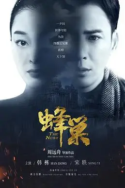 《蜂巢》封面