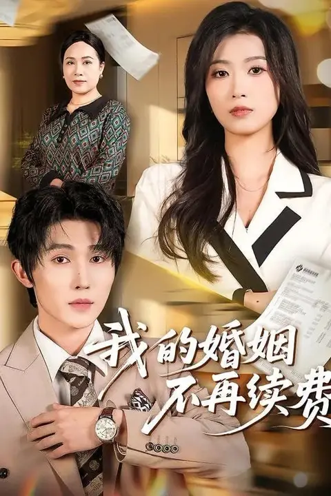 《我的婚姻不再续费》封面