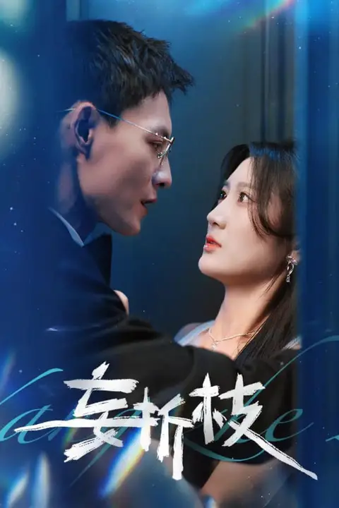 《妄折枝》封面