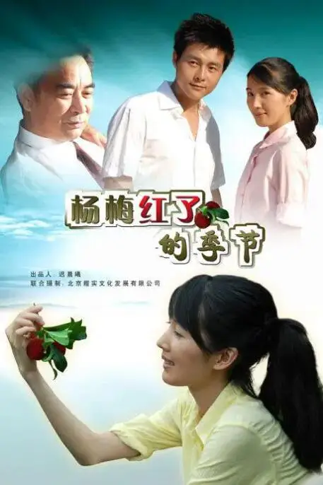 《杨梅红了的季节》封面