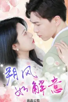 《朔风有解意》封面
