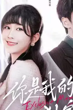 《你是我的独家记忆》封面