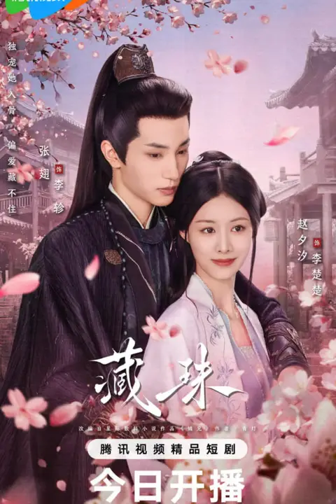 《藏珠》封面