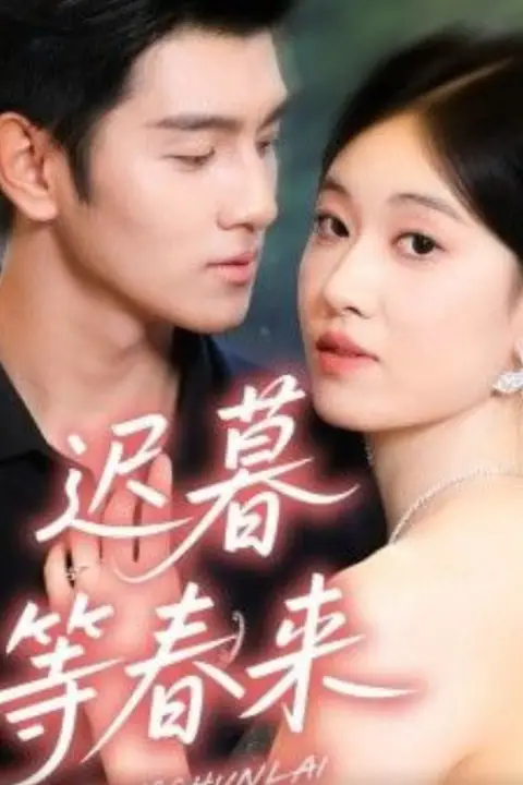 《迟暮等春来》封面