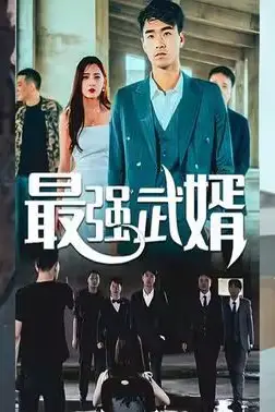 《最强武婿》封面