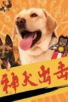 《神犬出击》封面