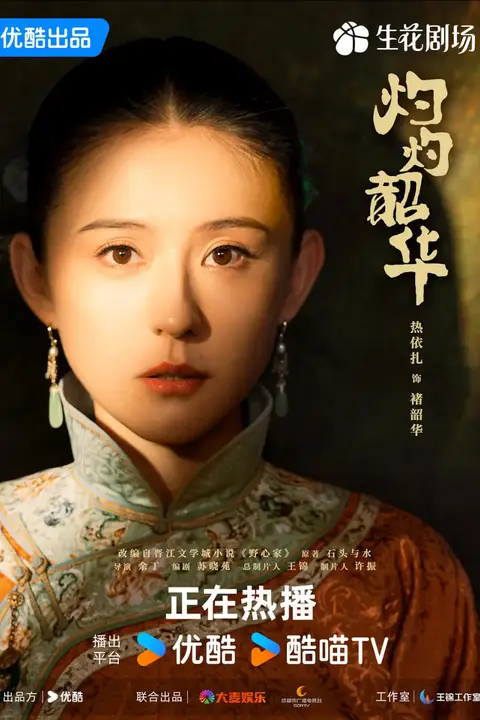 《灼灼韶华》封面