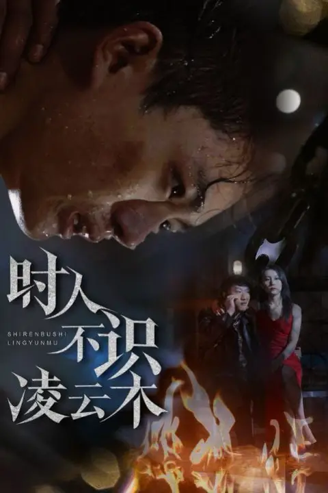 《时人不识凌云木》封面
