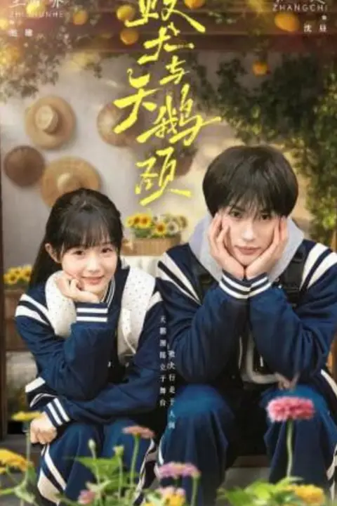 《败犬与天鹅颈》封面