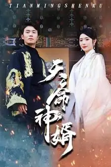 《天命神婿》封面