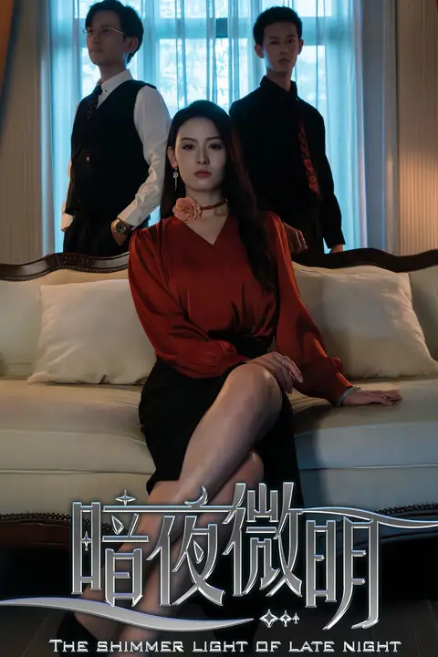 《暗夜微明》封面