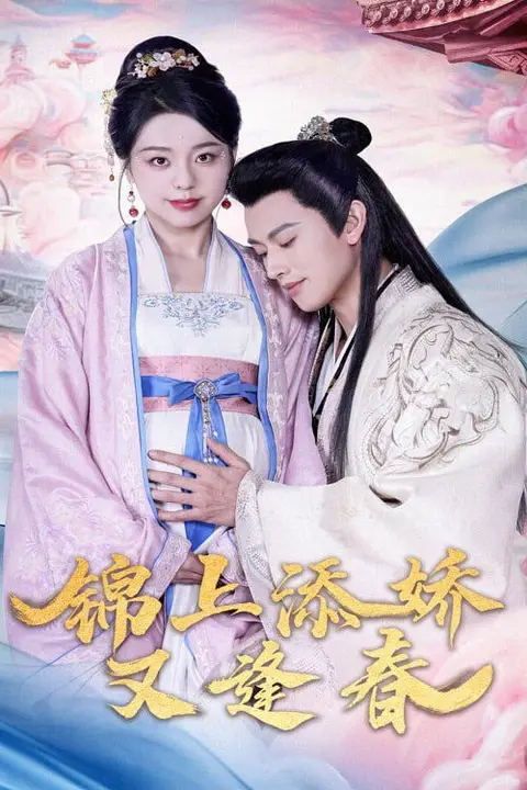《锦上添娇又逢春》封面