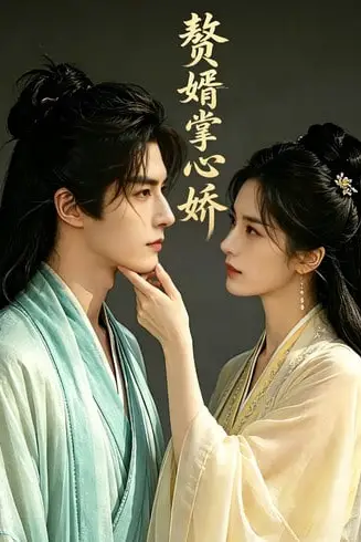 《赘婿掌中娇》封面