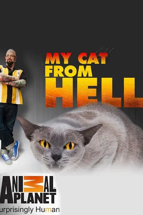 《家有恶猫 第四季》封面