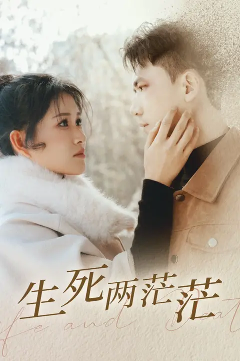 《生死两茫茫》封面