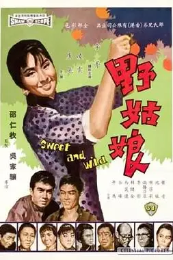 《野姑娘》封面