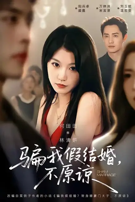 《骗我假结婚,不原谅》封面