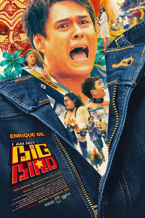 《I Am Not Big Bird》封面