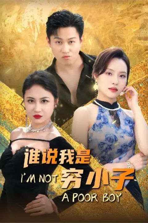 《谁说我是穷小子》封面