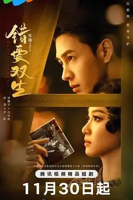 《错爱双生》封面