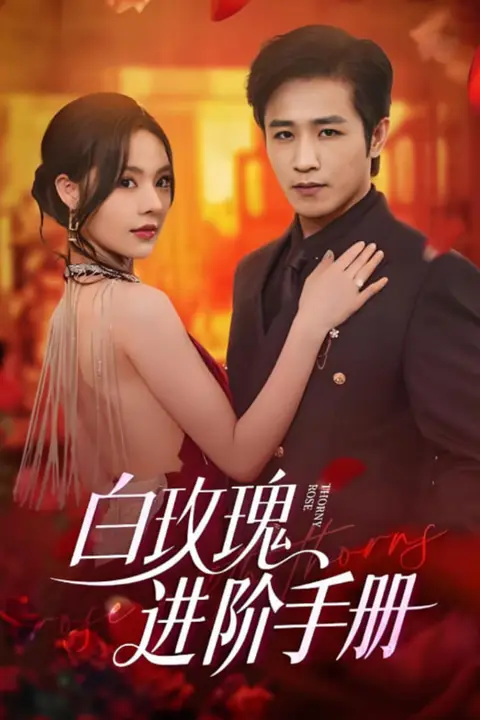 《白玫瑰进阶手册》封面