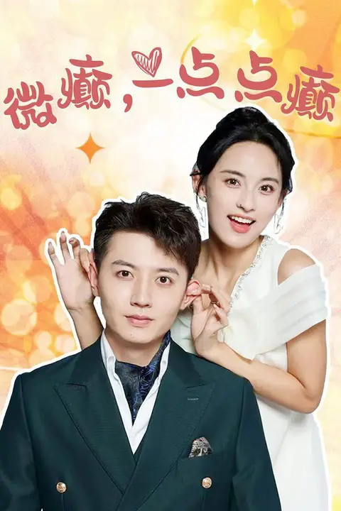 《微癫一点点癫》封面