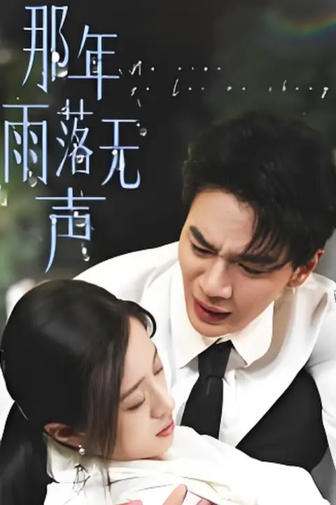 《那年雨落无声》封面