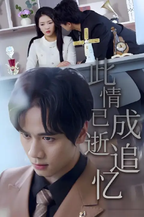 《此情已逝成追忆》封面