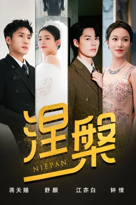 《双重生后,江先生宠我上天(涅槃)》封面