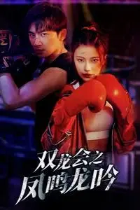 《双龙会之凤鸣龙吟》封面