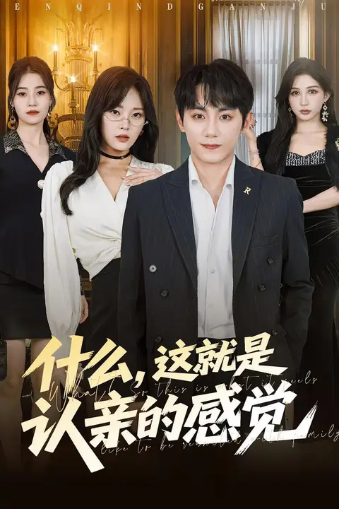 《什么，这就是认亲的感觉（什么这就是认亲的感觉）》封面