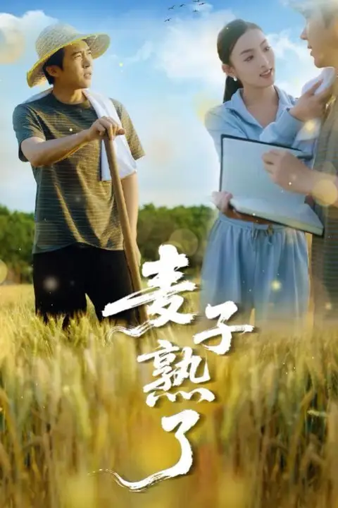 《麦子熟了》封面
