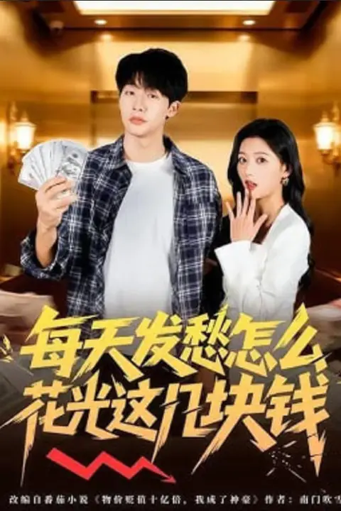 《每天发愁怎么花光这几块钱》封面