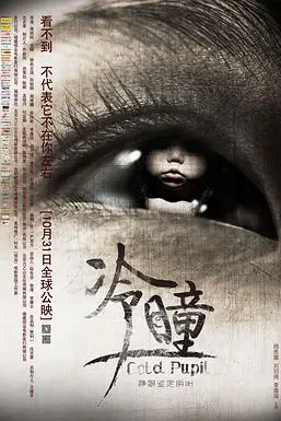 《冷瞳》封面