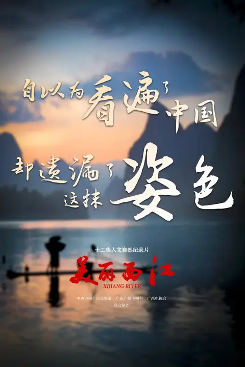 《美丽西江》封面