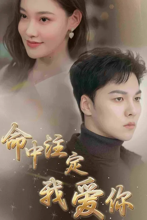 《新命中注定我爱你》封面