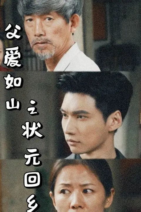 《父爱如山之状元回乡》封面