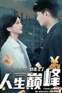 《房子烂尾后我走上了人生巅峰》封面