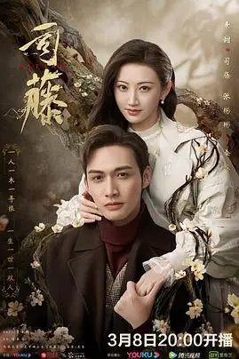 《司藤》封面