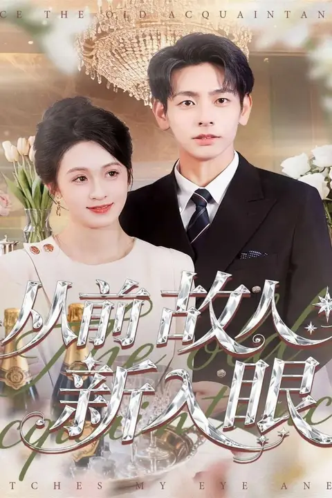 《从前故人新入眼》封面