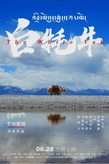 《白牦牛》封面