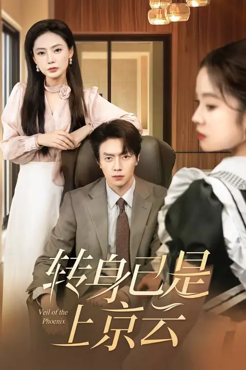 《转身已是上京云》封面