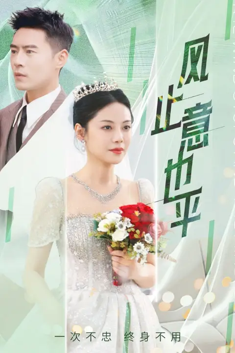 《风止意也平》封面