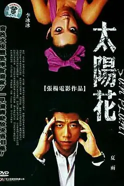 《太阳花》封面