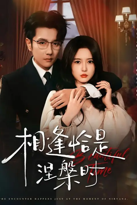 《相逢恰是涅槃时》封面