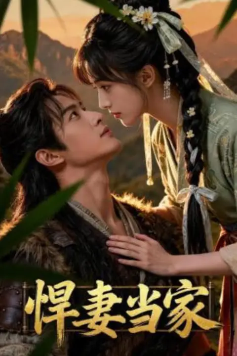 《悍妻当家》封面