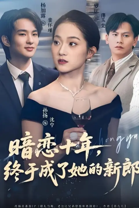 《暗恋十年,终于成了她的新郎》封面