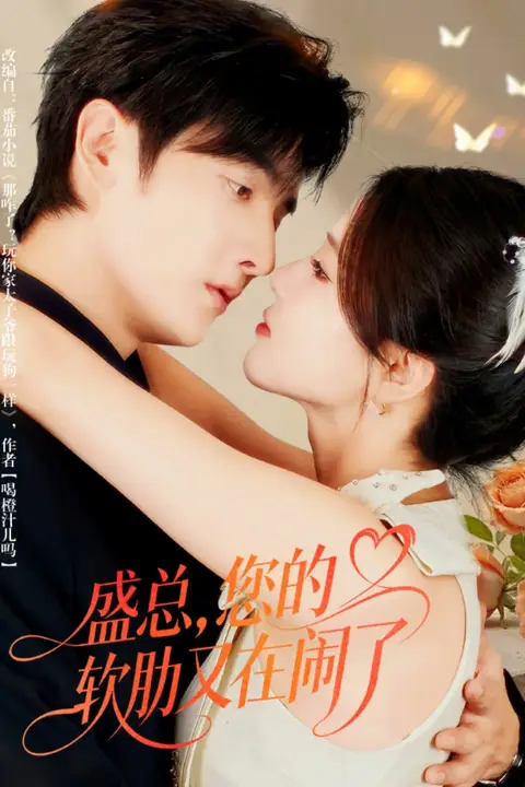 《盛总，您的软肋又在闹了》封面