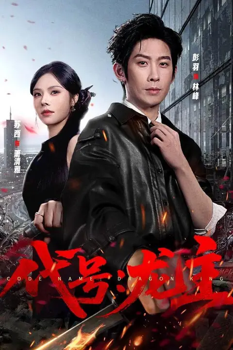 《代号:龙主》封面