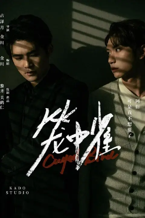 《笼中雀》封面